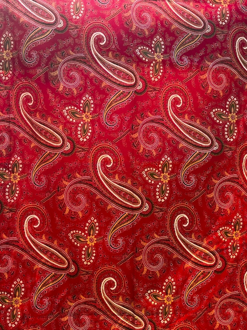 Pottery Barn Caroline Red Paisley Queen Duvet Cover & 2 Queen Shams